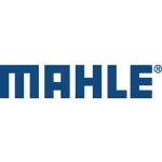 Mahle Mahle