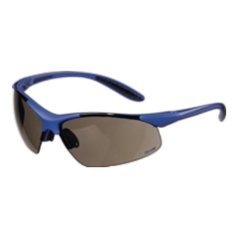 TECWERK Schutzbrille smoke, Bügel dunkelblau TECWERK Schutzbrille smoke, Bügel dunkelblau