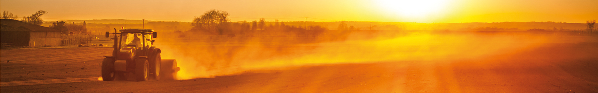 Platzhalter Banner Sonnenuntergang Kategorie Platzhalter Banner Sonnenuntergang