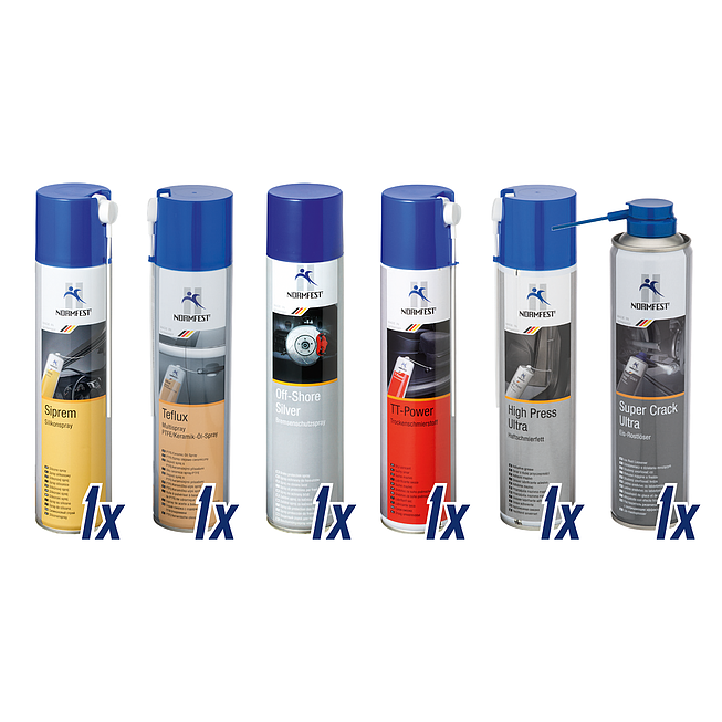 Normfest Werkstatt-Sprayset für Wartung und Inspektion 6 Spraydosen 2897-000-001 Normfest Werkstatt-Sprayset Super Crack Ultra Siprem Silikon Premium Teflux - PTFE Off-Shore Silver TT-Power High-Press Ultra