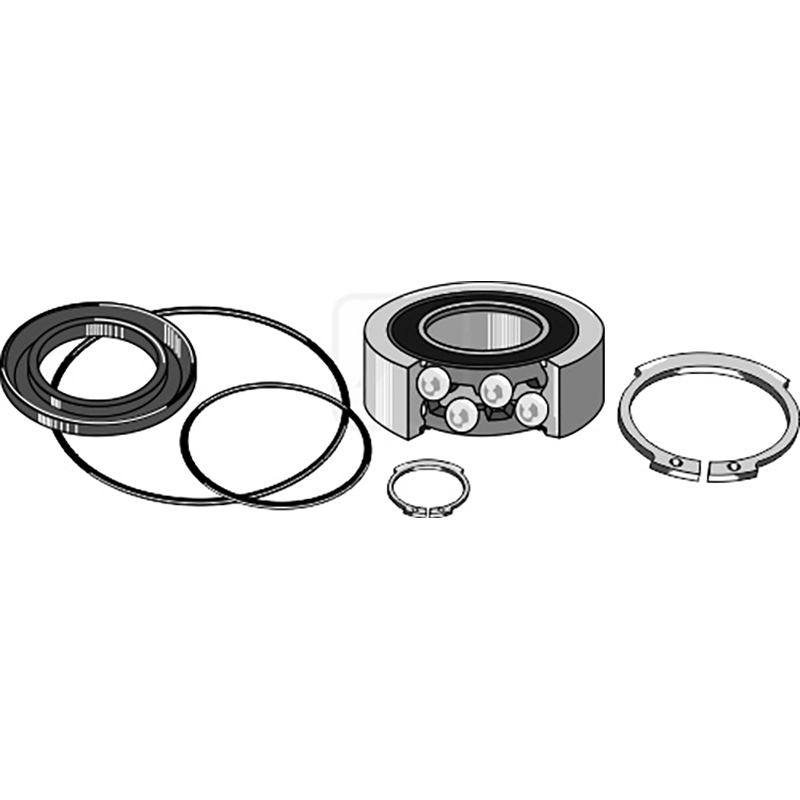 Landwirtschaft Bodenbearbeitung Scheibeneggen Zubehör Rillenkugellager-Satz Landwirtschaft Bodenbearbeitung Scheibeneggen Zubehör Rillenkugellager-Satz